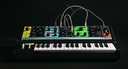 [A/004625] Moog Grandmother Image 