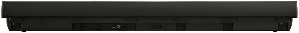 [A/005684] Roland FP-10 Bk Image 