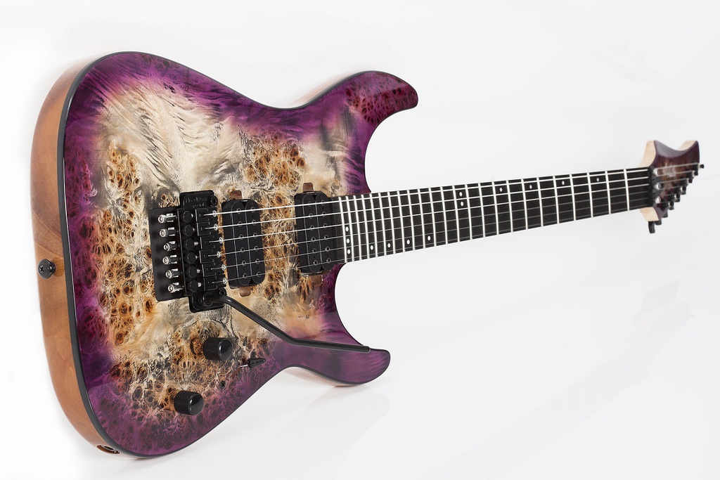 [A/006059] Schecter C-6 Pro FR ARB Image 