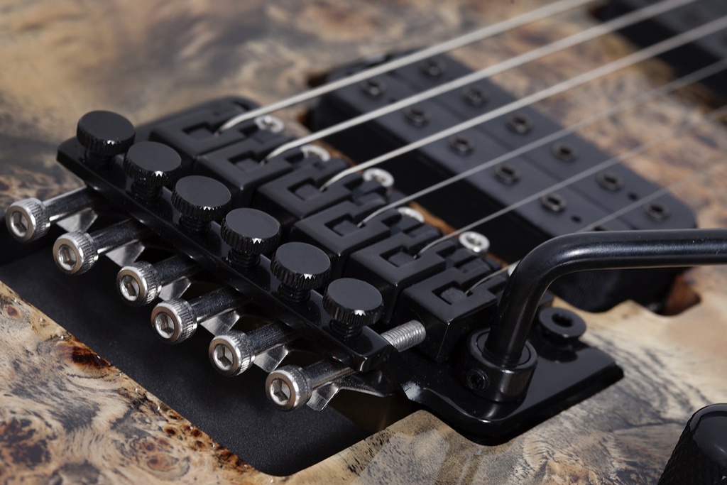 [A/006059] Schecter C-6 Pro FR ARB Image 