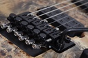 [A/006059] Schecter C-6 Pro FR ARB Image 