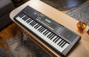 Roland E-X10