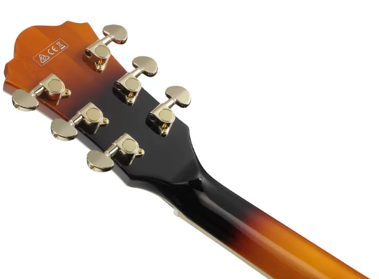 Ibanez AS113-BS