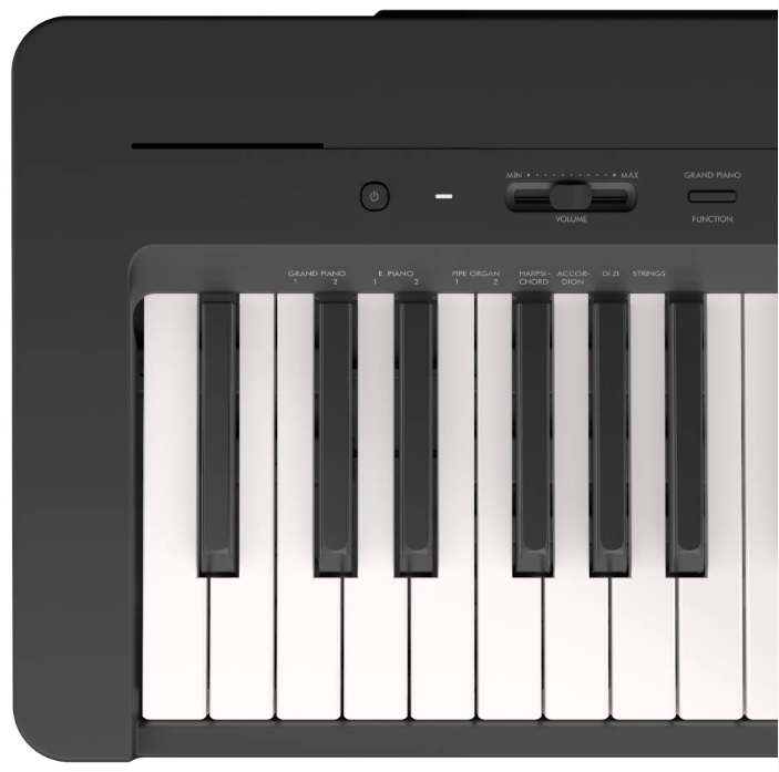 Yamaha P-145 B