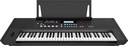 Roland E-X50