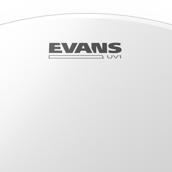 Evans UV1 14" Coated Tarola/Timbalão B14UV1