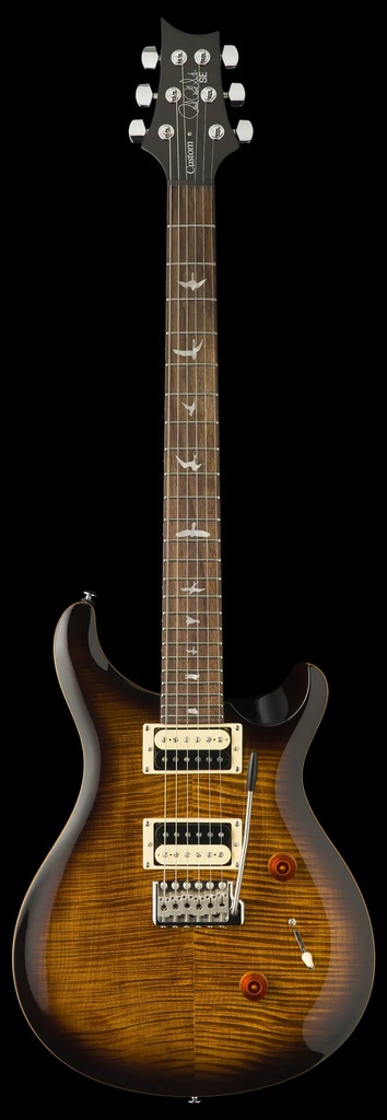 PRS SE Custom 24 BG