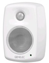 Genelec 4010AW
