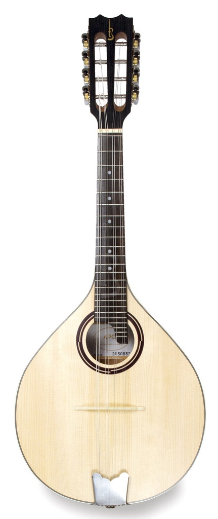 APC MDL308 Electrificado