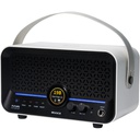 Mooer F15i Li Modeling Guitar SW