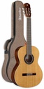 Alhambra 1C HT Hybrid Terra 4/4 com saco