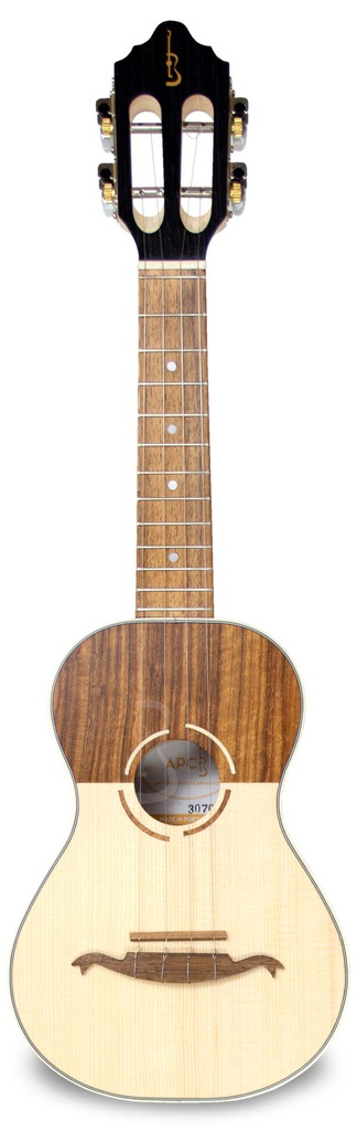 APC 108 Eletrificado