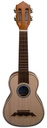 Ortiz Cavaquinho Infante IFT/CAVP