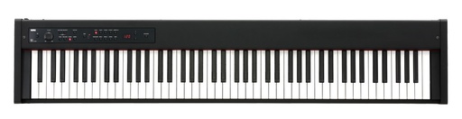 Korg D1