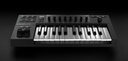 Native Instruments Komplete Kontrol A25