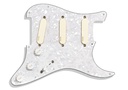 EMG DG20 David Gilmour Kit Pickguard
