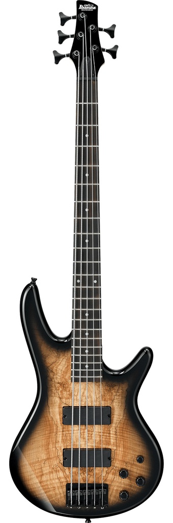 Ibanez GSR205SM NGT