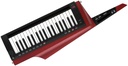 Korg RK-100S 2 Red