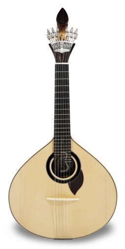 APC GFC 308CB