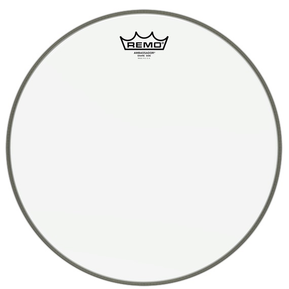 Remo Ambassador Hazy 10"