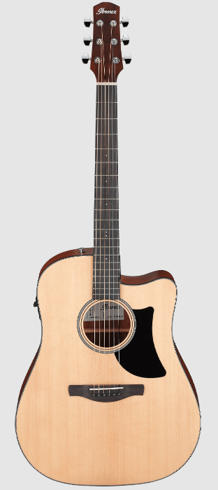 Ibanez AAD50CELG