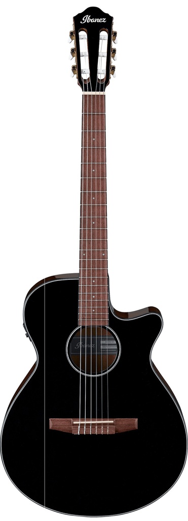 Ibanez AEG50N-BKH Nylon