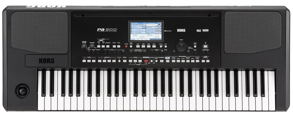 Korg PA-300