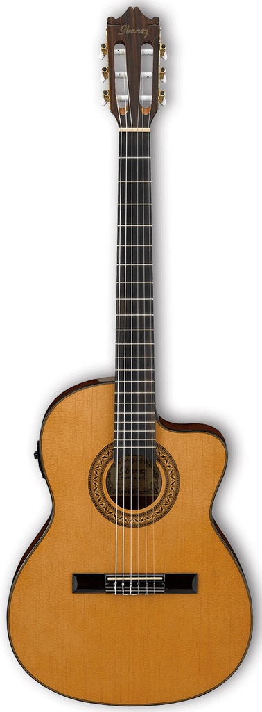 Ibanez GA5TCE AM