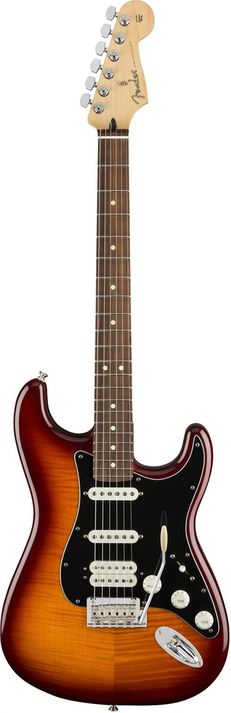 Fender Player Strat HSS Plus Top PF TBS