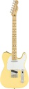 Fender American Performer Tele MN VW