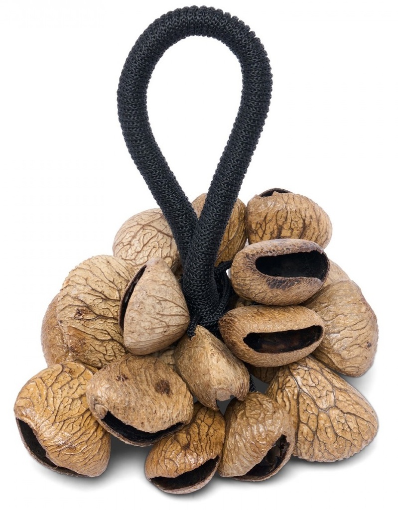 Terre Pangi, Shaker de sementes