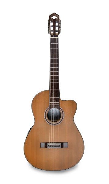 APC 9C CW