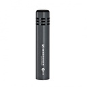 Sennheiser e614