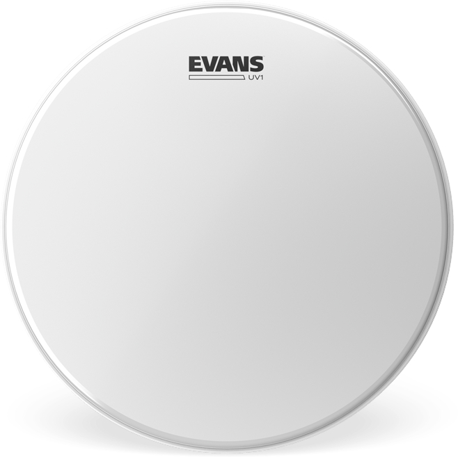 Evans UV1 14" Coated Tarola/Timbalão B14UV1