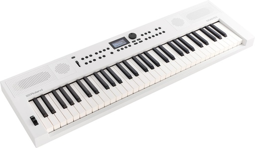 [A/009995] Roland GO:Keys 5 WH