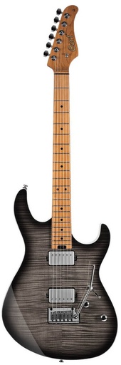 [A/011329] Cort G290FAT II TBB