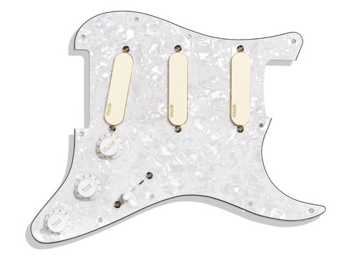 [A/002162] EMG DG20 David Gilmour Kit Pickguard
