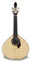 APC GFC 308CB