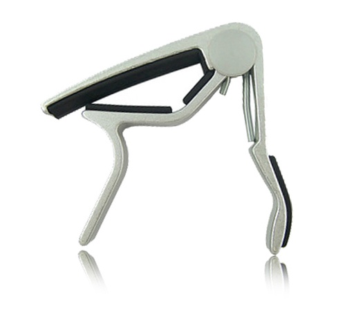 [A/003047] Flanger FC02 Acoustic Electric SL