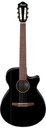 Ibanez AEG50N-BKH Nylon