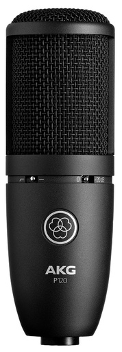 [A/000059] AKG P120