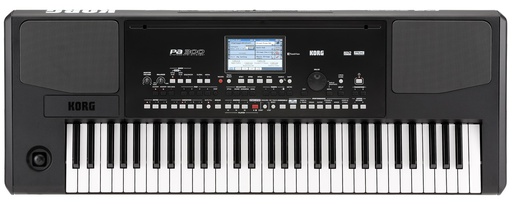 [A/004183] Korg PA-300