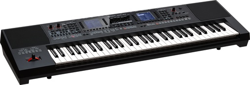 [A/005671] Roland E-A7