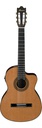 Ibanez GA6CE AM