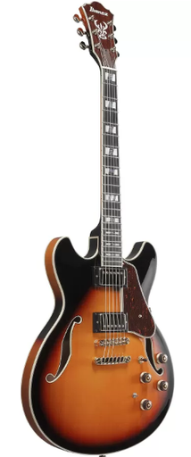 [A/007408] Ibanez AS113-BS