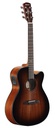 Alvarez AF66CESHB Shadowburst Artist Series