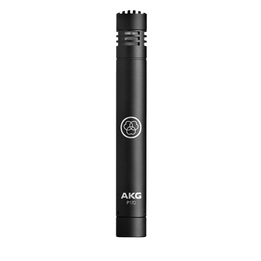 [A/008797] AKG P170