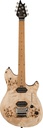 EVH Wolfgang WG Standard Exotic Poplar Burl