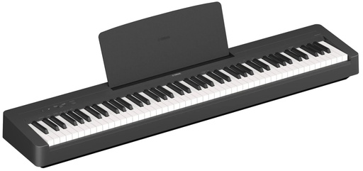 [A/009170] Yamaha P-145 B